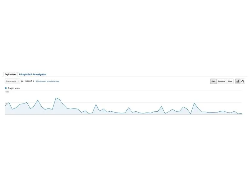 Graphique qui indique le trafic sur le site d'une fleuriste