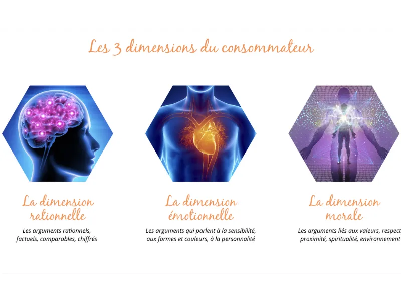 les 3 dimensions du consommateur utilisées pour comprendre son comportement d'achat
