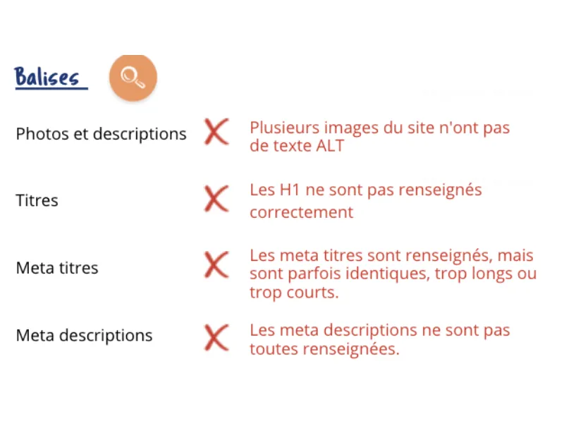 l'audit seo et sémantique révèle que les balises alt et méta ne sont pas optimisées