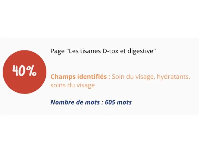 l'audit sémantique révèle les termes identifiés dans le contenu