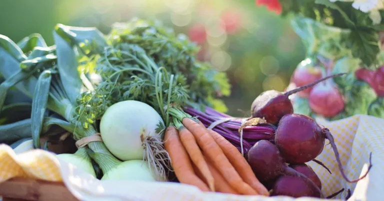 photo d'un panier de légumes pour illustrer le panier moyen qui peut augmenter grâce à l'inbound marketing