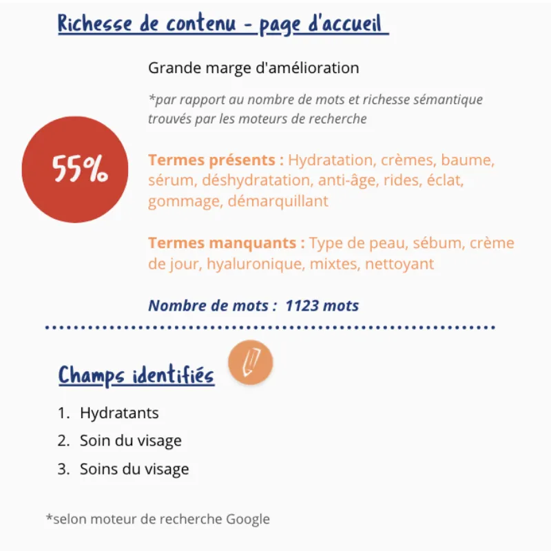 l'audit révèle la richesse sémantique du contenu du site 