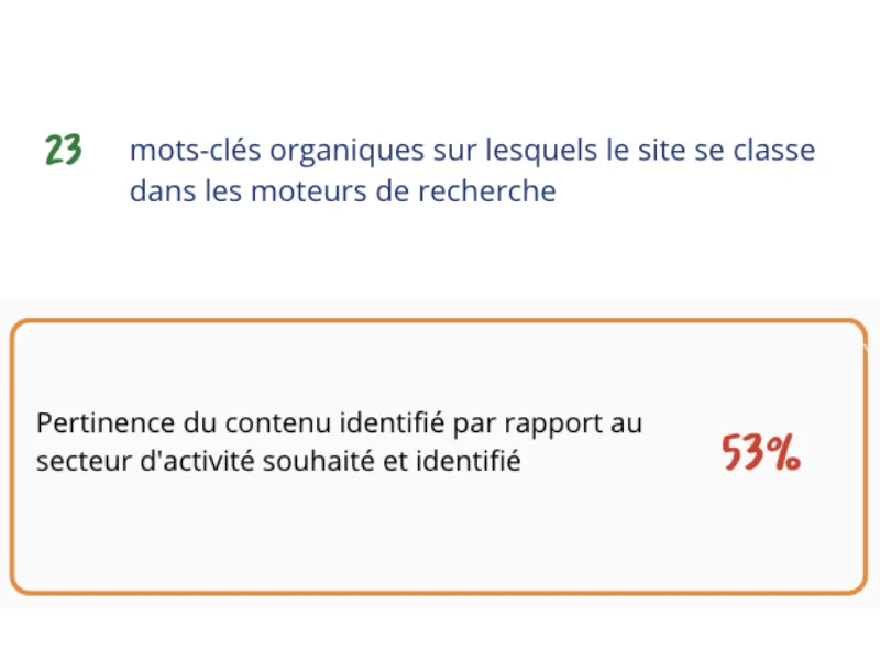 l'audit révèle le score seo peu élevé du site